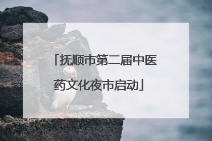 抚顺市第二届中医药文化夜市启动
