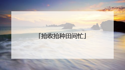 抢收抢种田间忙