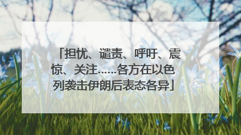 担忧、谴责、呼吁、震惊、关注……各方在以色列袭击伊朗后表态各异