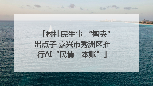 村社民生事 “智囊”出点子 嘉兴市秀洲区推行AI“民情一本账”