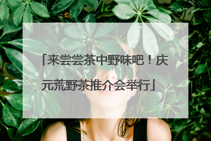 来尝尝茶中野味吧！庆元荒野茶推介会举行