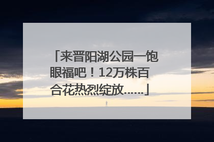 来晋阳湖公园一饱眼福吧！12万株百合花热烈绽放……