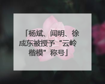 杨斌、闻明、徐成东被授予“云岭楷模”称号