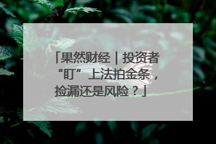 果然财经｜投资者“盯”上法拍金条，捡漏还是风险？