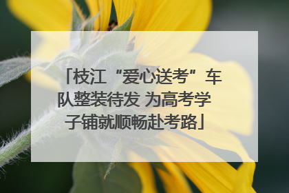 枝江“爱心送考”车队整装待发 为高考学子铺就顺畅赴考路