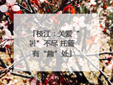 枝江：关爱“暑”不尽 托管有“趣”处