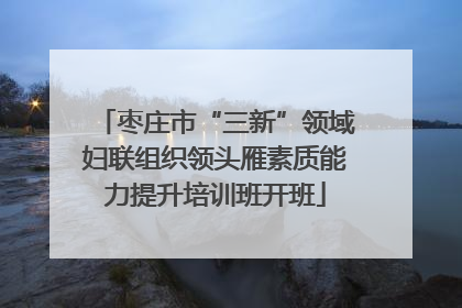 枣庄市“三新”领域妇联组织领头雁素质能力提升培训班开班