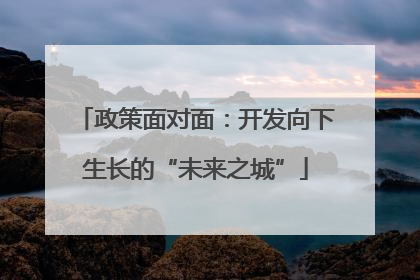 政策面对面：开发向下生长的“未来之城”