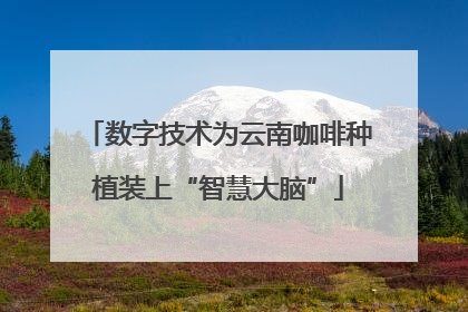 数字技术为云南咖啡种植装上“智慧大脑”