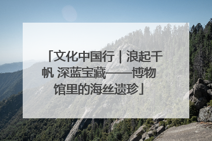 文化中国行｜浪起千帆 深蓝宝藏——博物馆里的海丝遗珍
