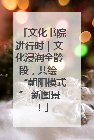文化书院进行时｜文化浸润全龄段，共绘 “朝阳模式” 新图景！