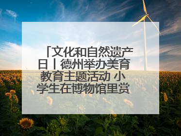 文化和自然遗产日丨德州举办美育教育主题活动 小学生在博物馆里赏文物画文物