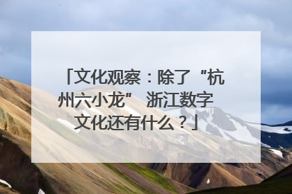 文化观察：除了“杭州六小龙” 浙江数字文化还有什么？