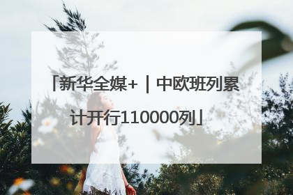 新华全媒+｜中欧班列累计开行110000列