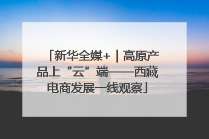 新华全媒+｜高原产品上“云”端——西藏电商发展一线观察
