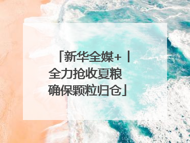 新华全媒+丨全力抢收夏粮 确保颗粒归仓