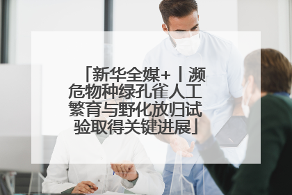 新华全媒+丨濒危物种绿孔雀人工繁育与野化放归试验取得关键进展