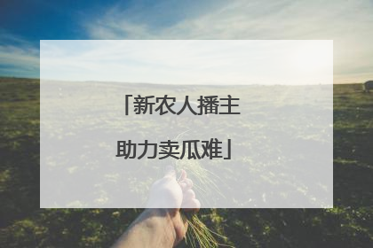 新农人播主 助力卖瓜难