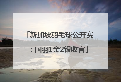 新加坡羽毛球公开赛：国羽1金2银收官