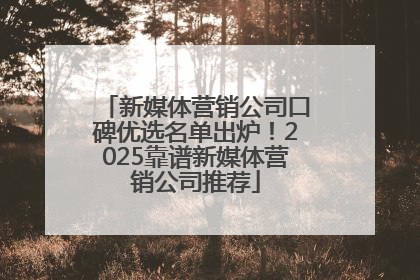 新媒体营销公司口碑优选名单出炉！2025靠谱新媒体营销公司推荐