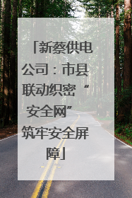 新蔡供电公司：市县联动织密“安全网” 筑牢安全屏障