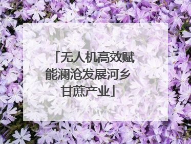 无人机高效赋能澜沧发展河乡甘蔗产业