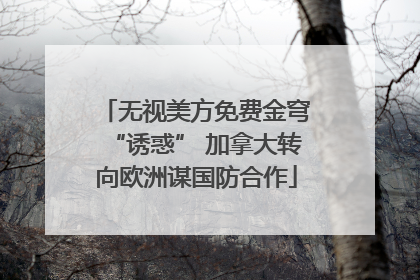 无视美方免费金穹“诱惑” 加拿大转向欧洲谋国防合作