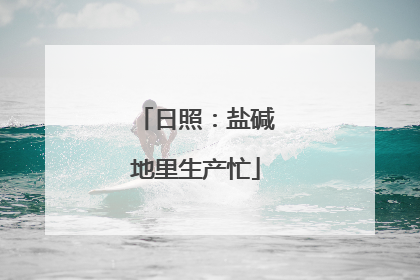 日照：盐碱地里生产忙