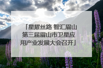 星耀丝路 智汇眉山 第三届眉山市卫星应用产业发展大会召开