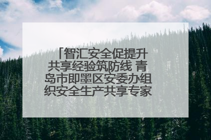 智汇安全促提升 共享经验筑防线 青岛市即墨区安委办组织安全生产共享专家现场观摩学习活动