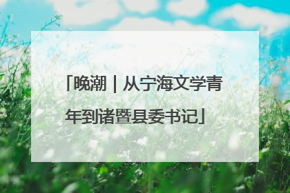晚潮｜从宁海文学青年到诸暨县委书记