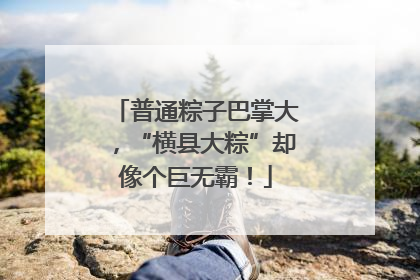 普通粽子巴掌大，“横县大粽”却像个巨无霸！