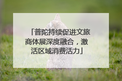 普陀持续促进文旅商体展深度融合，激活区域消费活力