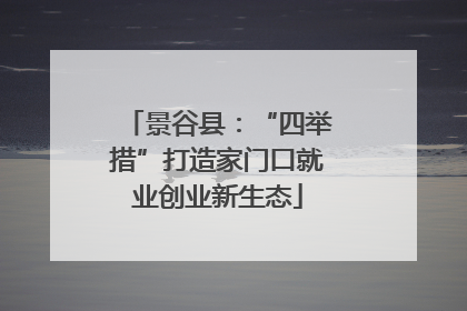 景谷县：“四举措”打造家门口就业创业新生态