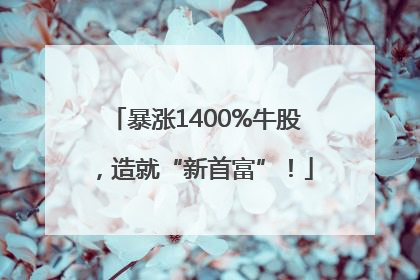 暴涨1400%牛股，造就“新首富”！
