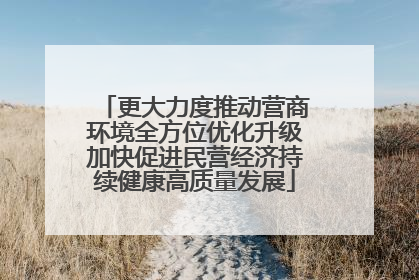 更大力度推动营商环境全方位优化升级加快促进民营经济持续健康高质量发展