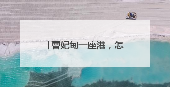 曹妃甸一座港，怎样带动一座城？人民日报记者调查