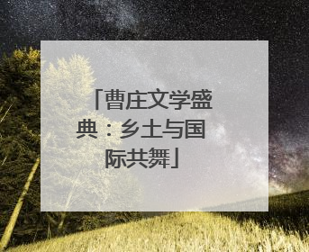 曹庄文学盛典：乡土与国际共舞