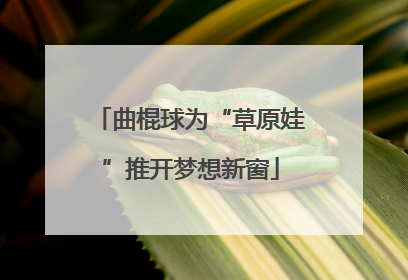 曲棍球为“草原娃”推开梦想新窗