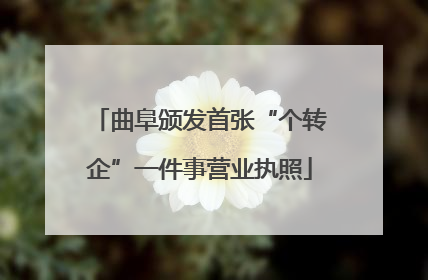 曲阜颁发首张“个转企”一件事营业执照