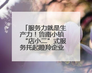 服务力就是生产力！鲁南小镇“店小二”式服务托起瞪羚企业14倍成长