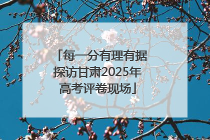 每一分有理有据 探访甘肃2025年高考评卷现场