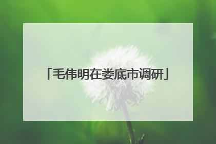 毛伟明在娄底市调研