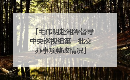 毛伟明赴湘潭督导中央巡视组第一批交办事项整改情况