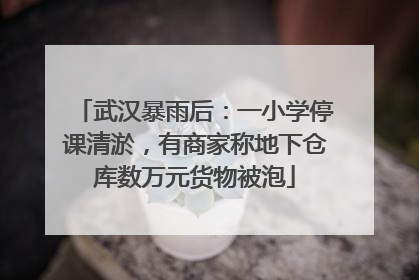 武汉暴雨后：一小学停课清淤，有商家称地下仓库数万元货物被泡