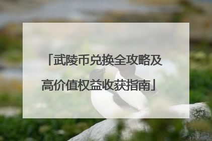 武陵币兑换全攻略及高价值权益收获指南