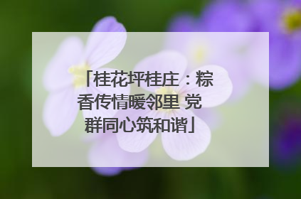 桂花坪桂庄：粽香传情暖邻里 党群同心筑和谐