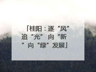 桂阳：逐“风”追“光” 向“新”向“绿”发展