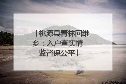 桃源县青林回维乡：入户查实情 监督保公平
