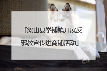 梁山县拳铺镇开展反邪教宣传进商铺活动